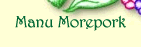 Manu Morepork